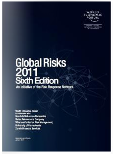 global risk reports 2011